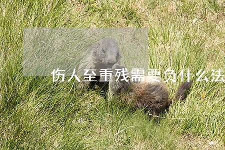 伤人至重残需要负什么法律责任 伤人至重残需要负什么法律责任