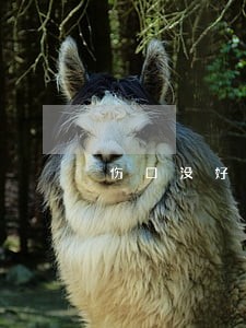 伤口没好还可以请律师吗 伤口没好还可以请律师吗
