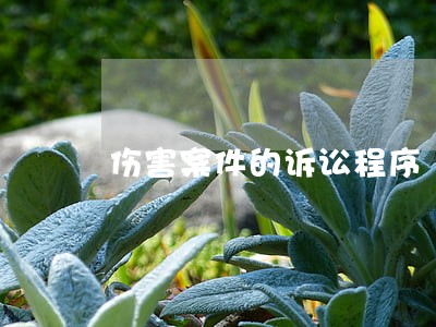 伤害案件的诉讼程序