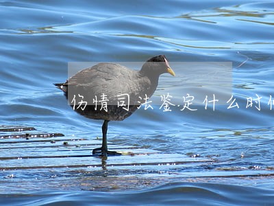 伤情司法鉴定什么时候可以做 伤情司法鉴定什么时候可以做