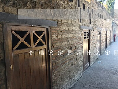 伤情鉴定是否计入审限的法律规定
