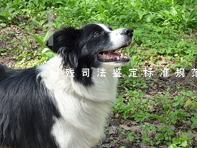 伤残司法鉴定标准规范 伤残司法鉴定标准规范