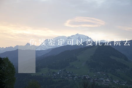 伤残鉴定可以委托法院去做吗 伤残鉴定可以委托法院去做吗
