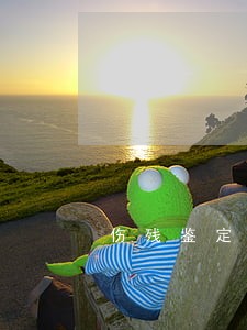 伤残鉴定可委托哪家律师事务所做 伤残鉴定可委托哪家律师事务所做