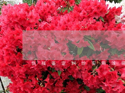 伤残鉴定纠纷实用法律手册 伤残鉴定纠纷实用法律手册