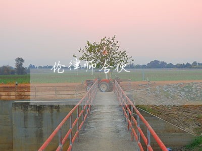 伦律师合伙 伦律师合伙