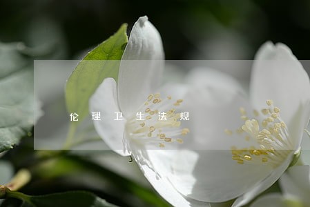 伦理卫生法规 伦理卫生法规