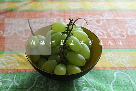 伪满洲国法律制度概说 伪满洲国法律制度概说