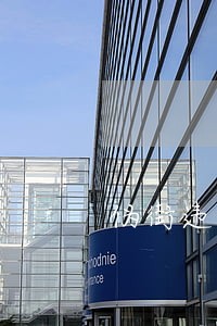 伪街违法 伪街违法