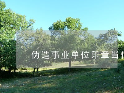 伪造事业单位印章当作诉讼证据 伪造事业单位印章当作诉讼证据