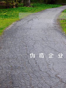 伪造企业印章罪法律条文 伪造企业印章罪法律条文