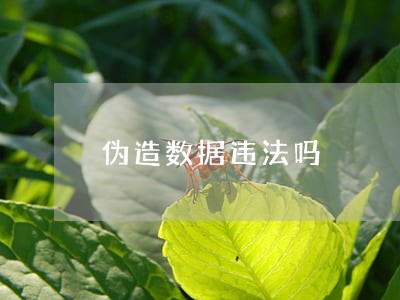伪造数据违法吗 伪造数据违法吗