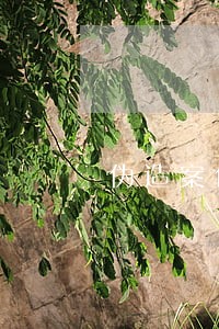 伪造案件管辖是虚假诉讼吗 伪造案件管辖是虚假诉讼吗