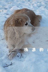 伪造的合同司法解释如何界定 伪造的合同司法解释如何界定