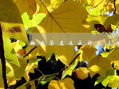 伪造签名违反什么法规 伪造签名违反什么法规