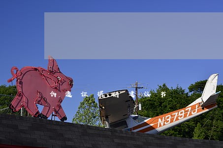 伪造证据的建议书 伪造证据的建议书
