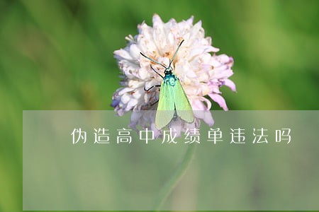 伪造高中成绩单违法吗 伪造高中成绩单违法吗
