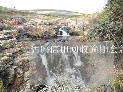 估吗信用回收逾期会怎么样 估吗信用回收逾期会怎么样