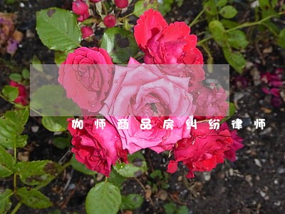 伽师商品房纠纷律师 伽师商品房纠纷律师