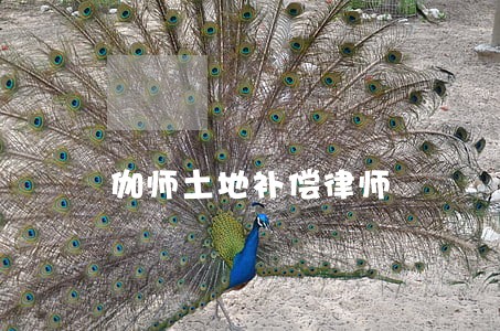 伽师土地补偿律师 伽师土地补偿律师