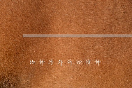 伽师涉外诉讼律师 伽师涉外诉讼律师