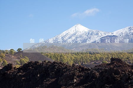 伽师股份购买合同纠纷律师 伽师股份购买合同纠纷律师