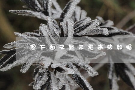 但下面又显示无违法数据该咱办