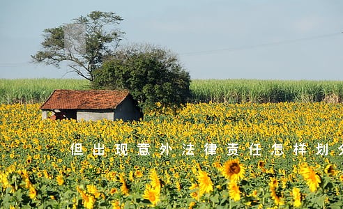 但出现意外法律责任怎样划分 但出现意外法律责任怎样划分