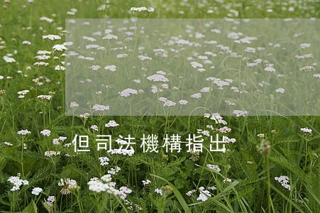 但司法機構指出 但司法機構指出