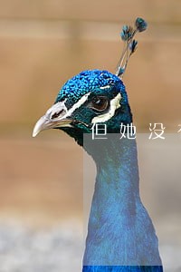 但她没有撤销诉讼 但她没有撤销诉讼