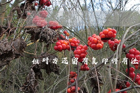但对方还留有复印件有法律效应吗 但对方还留有复印件有法律效应吗