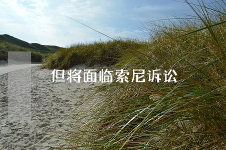 但将面临索尼诉讼 但将面临索尼诉讼