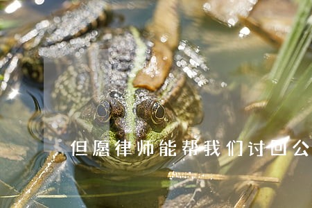 但愿律师能帮我们讨回公道 但愿律师能帮我们讨回公道