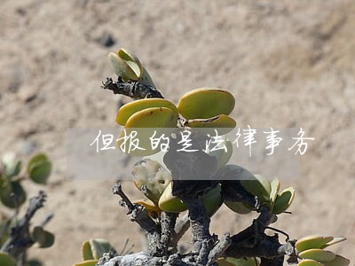 但报的是法律事务