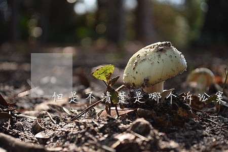 但是不清楚是哪个诉讼案件