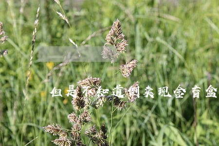 但是不知道倒卖现金盲盒会违法吗 但是不知道倒卖现金盲盒会违法吗