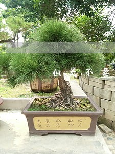 但是不要违法 但是不要违法