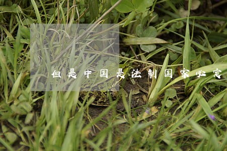 但是中国是法制国家必定依法治国 但是中国是法制国家必定依法治国