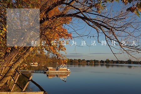 但是你以为违法算什么大事 但是你以为违法算什么大事