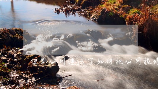 但是公司违法了如何把公司报停 但是公司违法了如何把公司报停