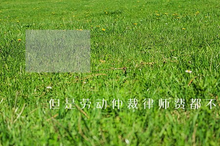 但是劳动仲裁律师费都不够 但是劳动仲裁律师费都不够