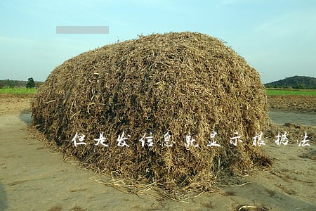 但是发信息就显示根据法律 但是发信息就显示根据法律
