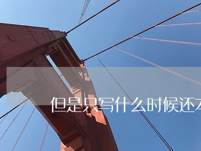 但是只写什么时候还本金 但是只写什么时候还本金