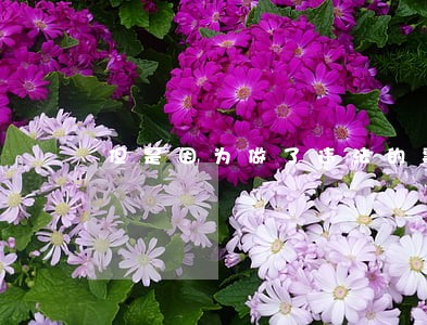 但是因为做了违法的事情