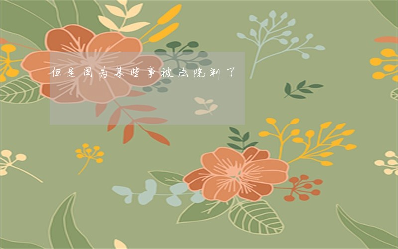 但是因为某些事被法院判了 但是因为某些事被法院判了