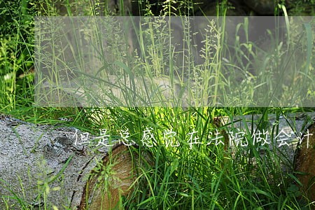 但是总感觉在法院做会计有点尴尬 但是总感觉在法院做会计有点尴尬
