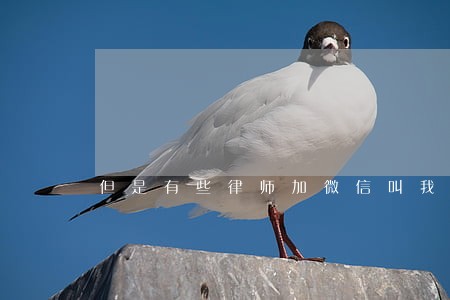 但是有些律师加微信叫我还款 但是有些律师加微信叫我还款