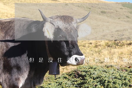 但是没住满就让你搬走属于违法吗