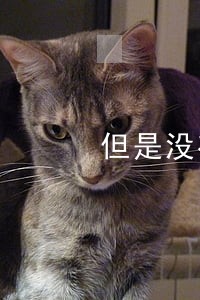 但是没有具体到哪个法院开庭 但是没有具体到哪个法院开庭