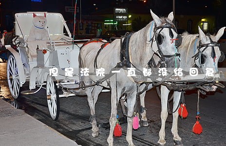 但是法院一直都没给回复
